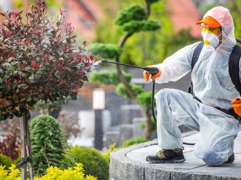 Soğukkuyu Haşere İlaçlama